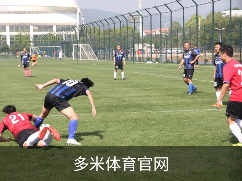 多米体育官网介绍